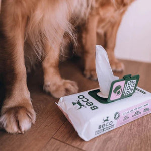 Beco Bamboo Coconut Scented Dog Wipes - Shopivet.com