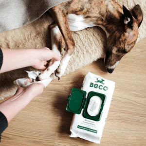 Beco Bamboo Coconut Scented Dog Wipes - Shopivet.com