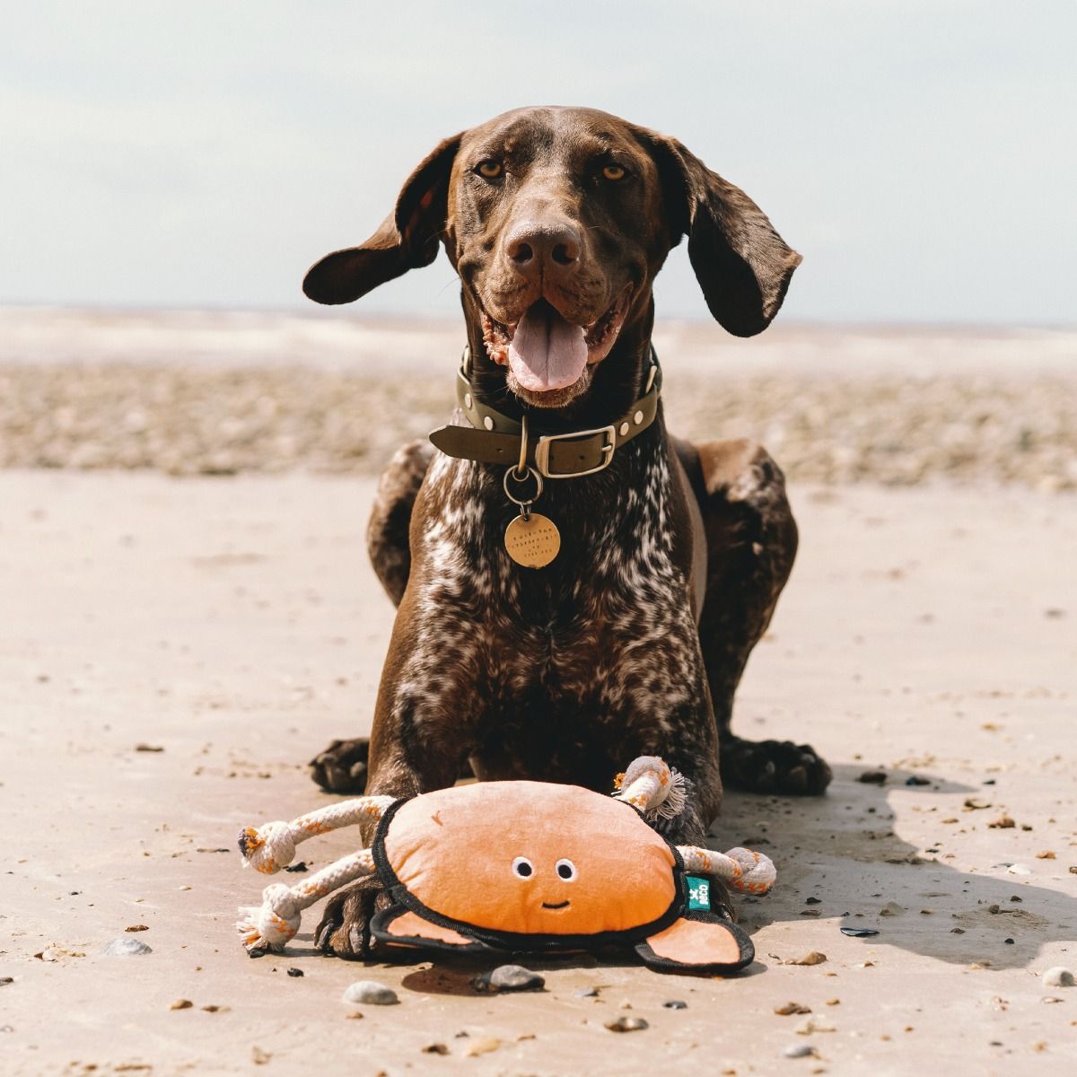Beco Pets Rough & Tough Crab Recycled Dog Toy - ORANGE LARGE - Shopivet.com