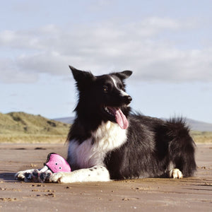 Beco Pets Rough & Tough Octopus Recycled Dog Toy - PINK MEDIUM - Shopivet.com