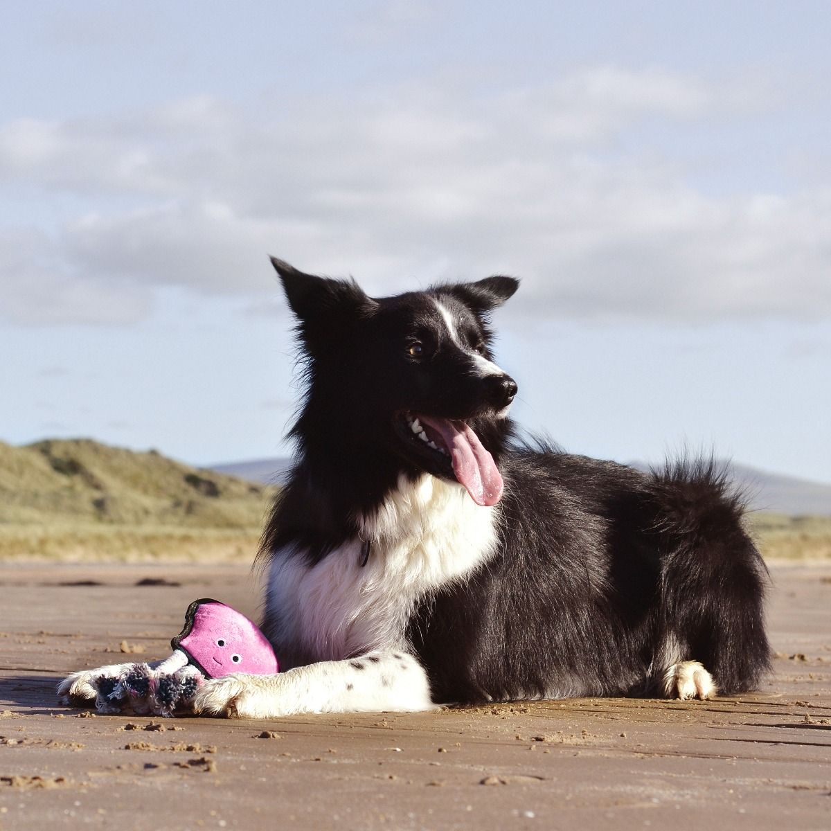 Beco Pets Rough & Tough Octopus Recycled Dog Toy - PINK MEDIUM - Shopivet.com