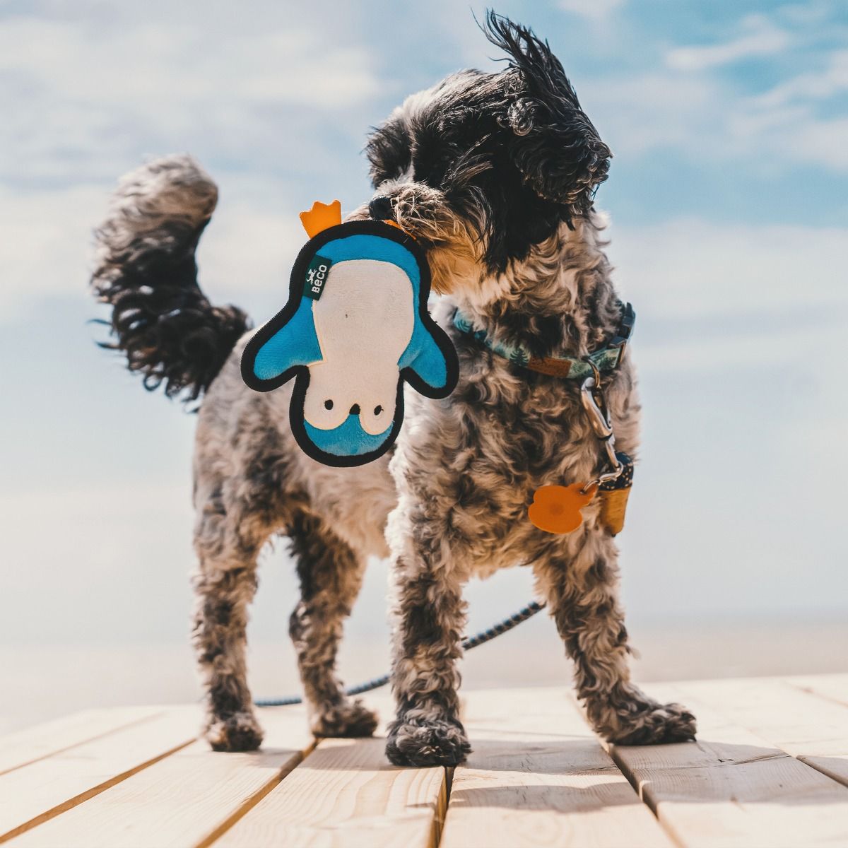 Beco Pets Rough & Tough Penguin Recycled Dog Toy - Blue Small - Shopivet.com