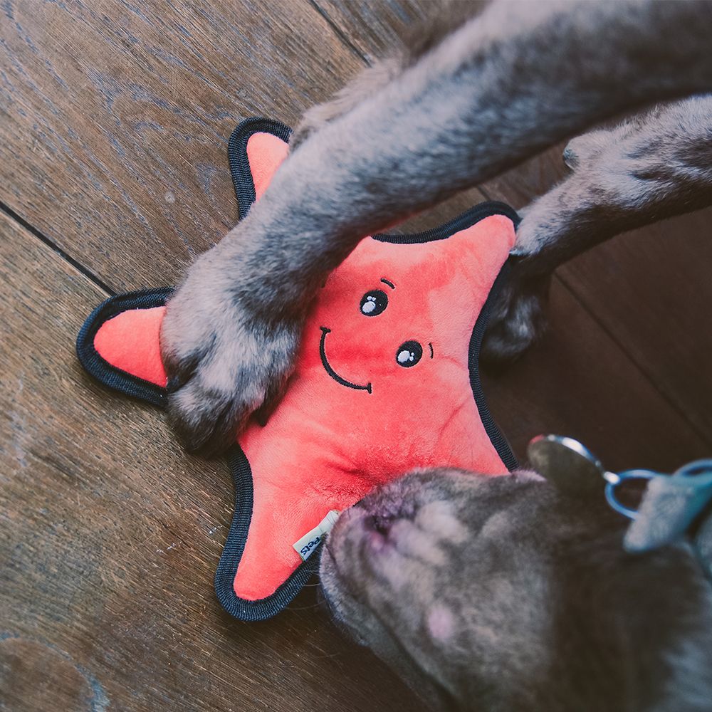 Beco Pets Rough & Tough Starfish Recycled Dog Toy - ORANGE MEDIUM - Shopivet.com