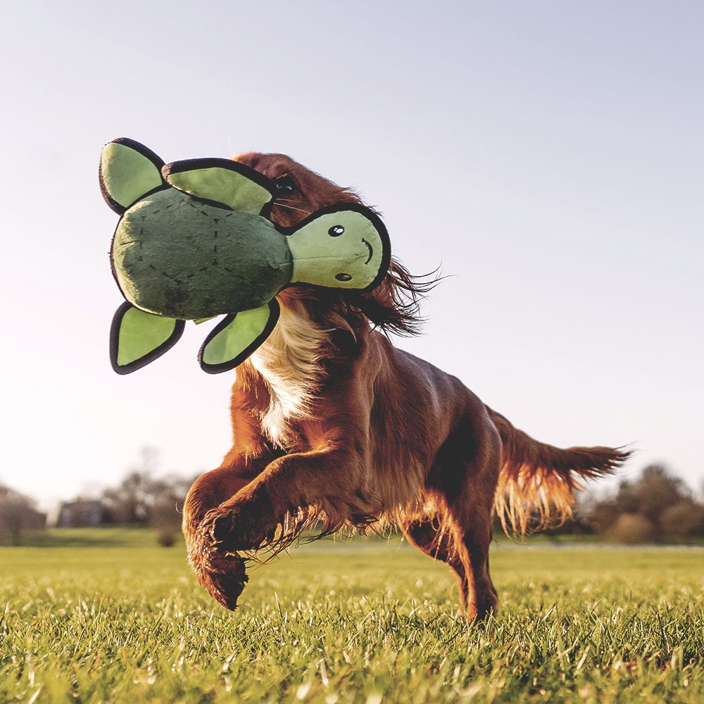 Beco Pets Rough & Tough Turtle Recycled Dog Toy - GREEN MEDIUM - Shopivet.com