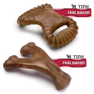 Benebone 2 - Pack Dental Chew, Wishbone(Tiny) – Bacon - Shopivet.com