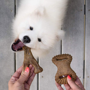 Benebone 2 - Pack Dental Chew, Wishbone(Tiny) – Bacon - Shopivet.com