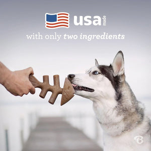Benebone Dental Chew Fishbone Jack Salmon (Tiny) – 2 pack - Shopivet.com