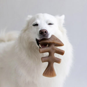 Benebone Fishbone Dog Toy - Small - Shopivet.com