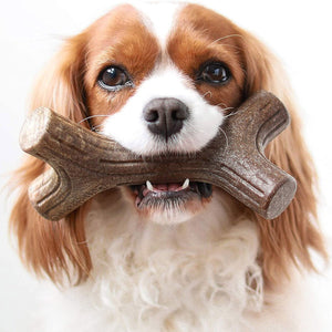 Benebone Maplestick Chew Dog Toy - Small - Shopivet.com
