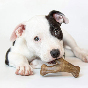 Benebone Puppy 2 - Pack Dental Chew/Wishbone (Tiny) – Bacon - Shopivet.com