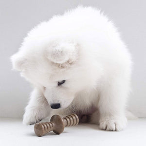 Benebone Puppy 2 - Pack Maplestick/Zaggler (Tiny) – Bacon - Shopivet.com