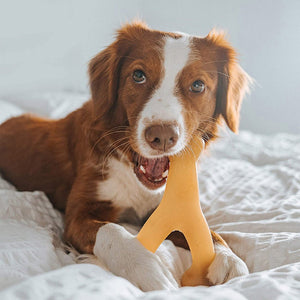 Benebone Wishbone Dog Chew Toy – Chicken - Large - Shopivet.com
