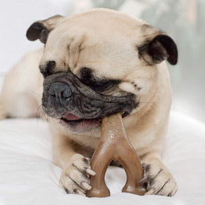 Benebone Wishbone Dog Chew Toy – Peanut - Large - Shopivet.com