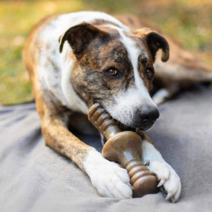 Benebone Zaggler Dog Chew Toy – Bacon - Large - Shopivet.com