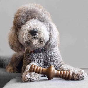 Benebone Zaggler Dog Chew Toy – Bacon - Small - Shopivet.com