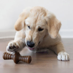 Benebone Zaggler Dog Chew Toy – Peanut - Small - Shopivet.com