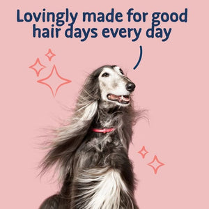 Barking Heads All Hounder Hair Necessities Salmon Dry Dog Food - 2kg