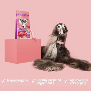 Barking Heads All Hounder Hair Necessities Salmon Dry Dog Food - 2kg
