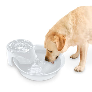 Big Max Ceramic Pet Drinking Fountain 128oz (White) - Shopivet.com
