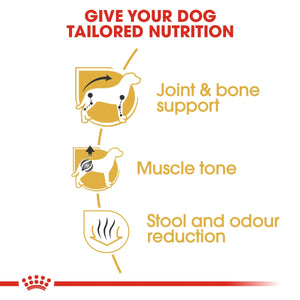 Breed Health Nutrition Dachshund Adult 1.5 KG