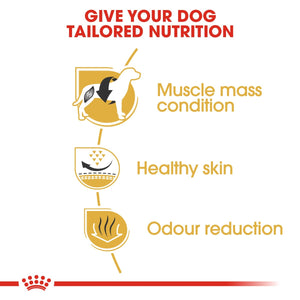Breed Health Nutrition French Bulldog Adult 3 KG