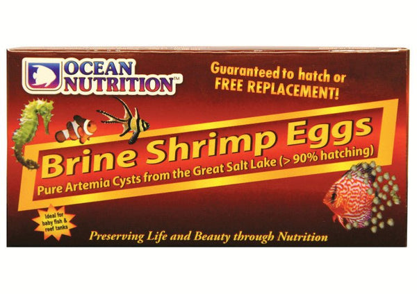 Brine Shrimp Eggs 20g - Shopivet.com