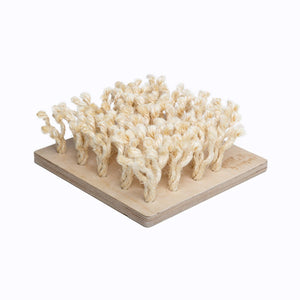 Bunny Nature SNUFFLEBOARD - Shopivet.com