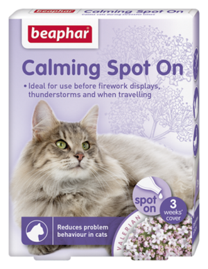 Calming Spot on Cat
