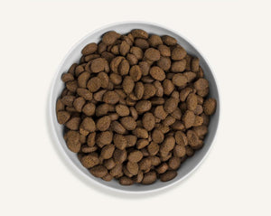 Canagan Country Game Dry Dog Food - 12kg - Shopivet.com