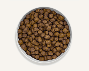 Canagan Dental Free Run Turkey Dry Dog Food - 12kg - Shopivet.com