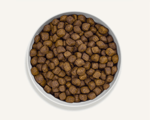Canagan Dental Free Run Turkey Small Breed Dry Dog Food - 2KG - Shopivet.com
