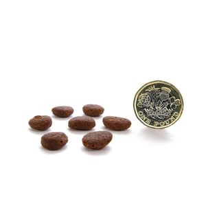 Canagan Free Range Chicken Dry Cat Food - 4KG - Shopivet.com