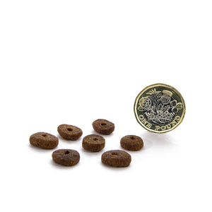 Canagan Free Range Chicken Small Breed Dry Dog Food - 2KG - Shopivet.com