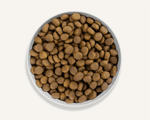 Canagan Highland Feast Dry Dog Food - 12kg - Shopivet.com