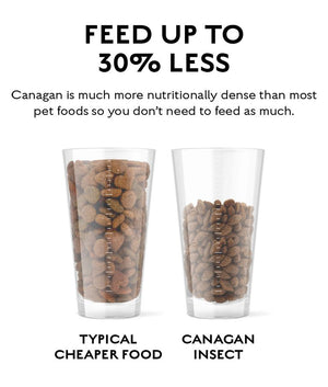 Canagan Insect Protein Dry Dog Food - 1.5kg - Shopivet.com