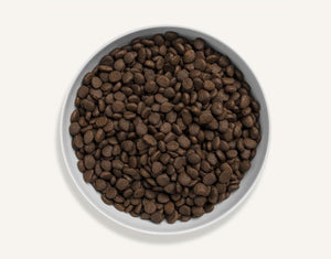 Canagan Scottish Salmon Dry Cat Food - 4KG - Shopivet.com
