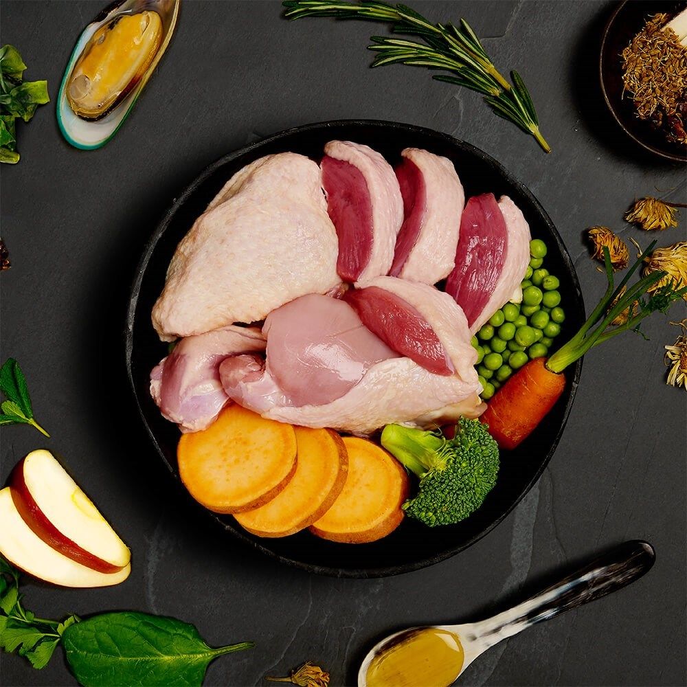 Canagan Turkey with Duck Dinner Wet Dog Food 400g - 400g