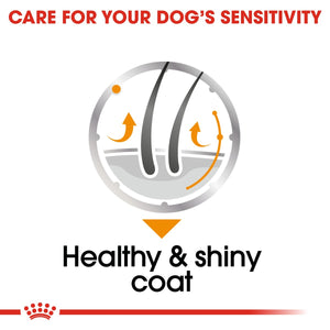 Canine Care Nutrition Coat Care (WET FOOD - Pouches) 12 x 85g