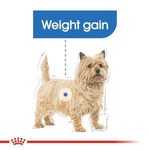Canine Care Nutrition Mini Light Weight Care 3 KG
