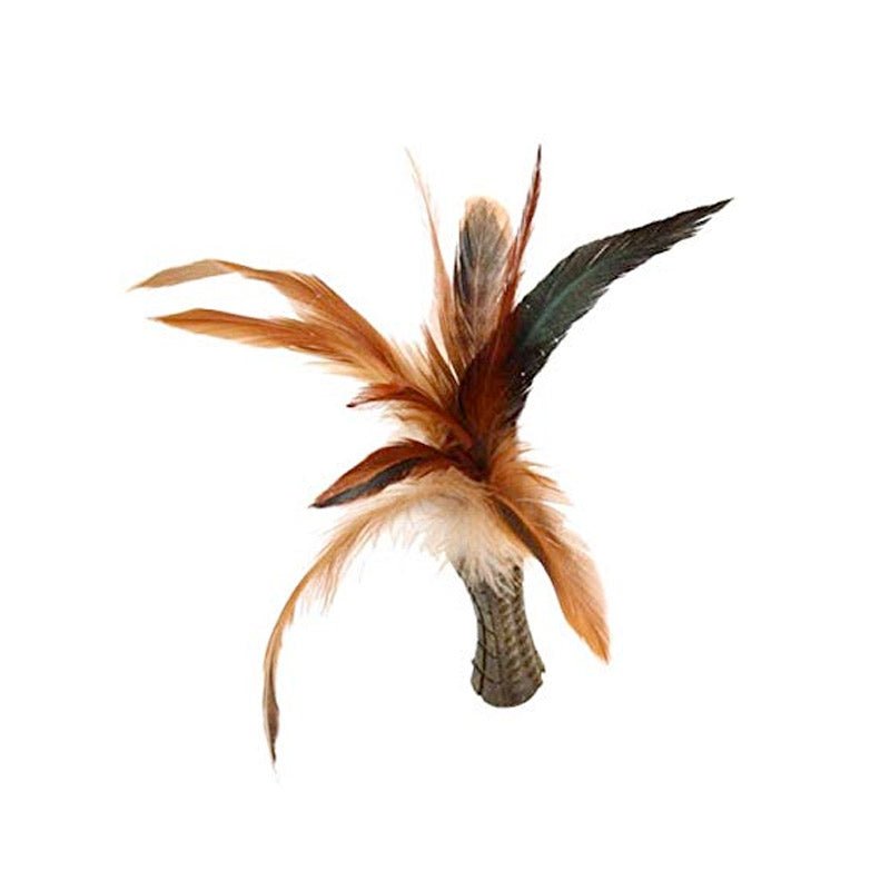 Catnip “Johnny Sticks” w/ Natural Feather - Shopivet.com