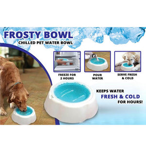 Cooling Bowls Plastic And Gel Ice Feeding Safe Speed Cold Food Water Drinking Feeding Frosty Bowl For Cat Dog Supplies - Shopivet.com