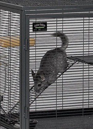 Critter Nation (Small Animal Habitat for Rats,Ferrets) - Shopivet.com