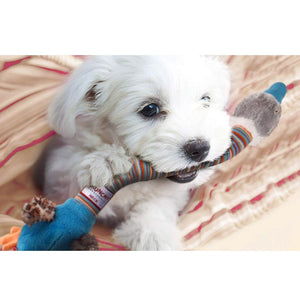 “Crunchy Neck” Duck with Bone & Squeaker – Small - Shopivet.com