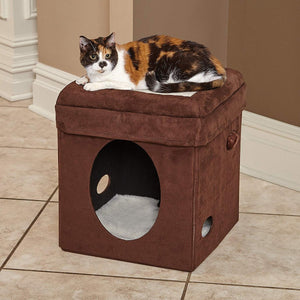 Curious Cat Cube - Shopivet.com