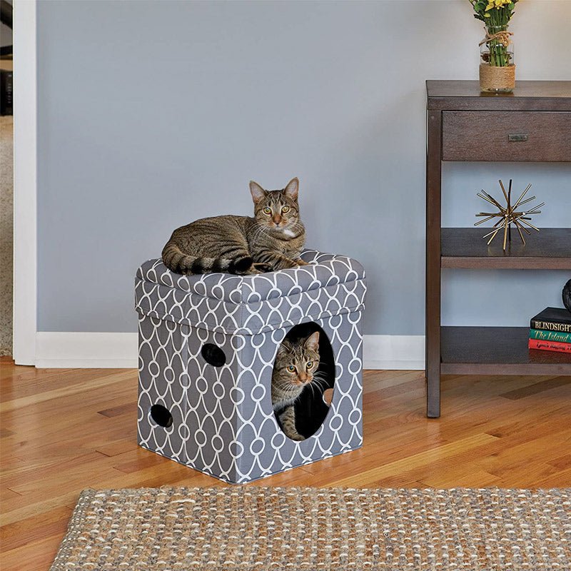 Curious Cat Cube – Grey - Shopivet.com