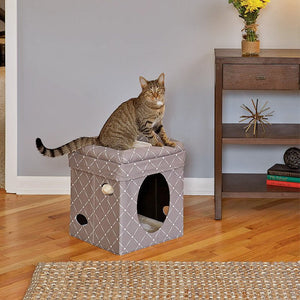 Curious Cat Cube – Mushroom - Shopivet.com