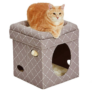 Curious Cat Cube – Mushroom - Shopivet.com