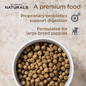 Diamond Naturals Large Breed Puppy Lamb & Rice Formula - 15kg (33 lbs) - Shopivet.com