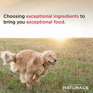 Diamond Naturals Senior Dog Chicken, Egg & Oatmeal Formula - 2.72 Kg(6 lbs) - Shopivet.com