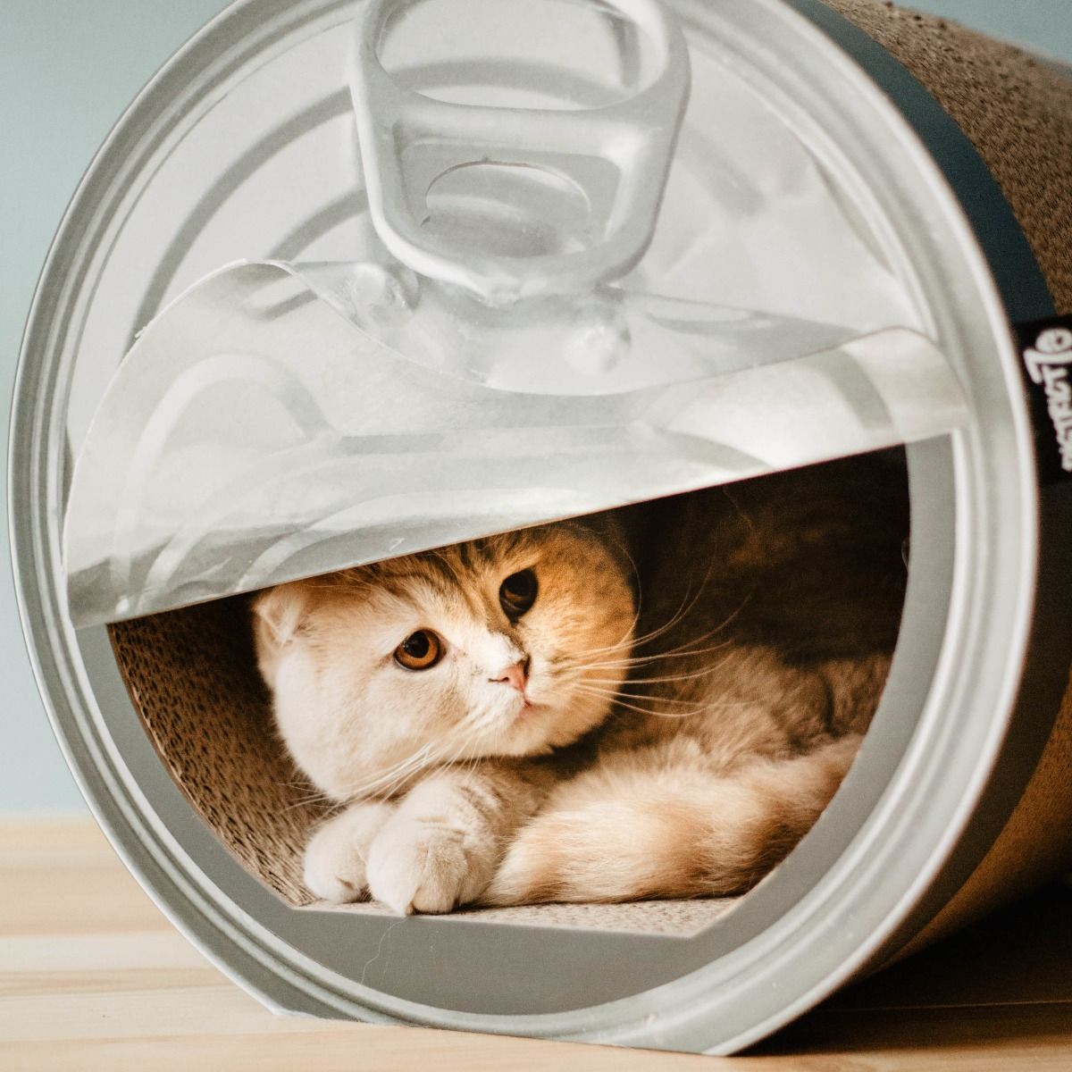 District 70 Can Cardboard Cat Scratcher - Shopivet.com